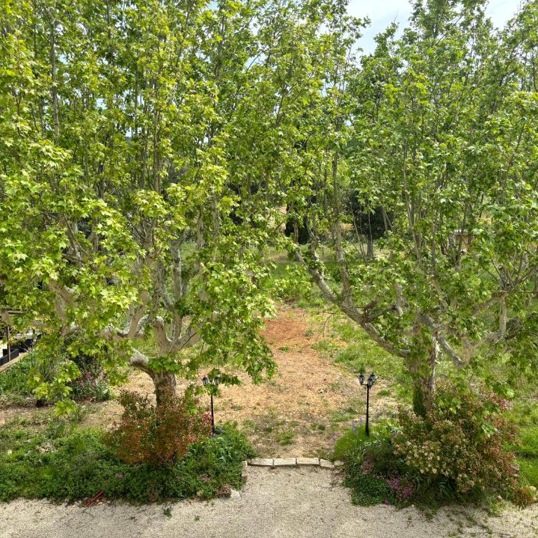 Appartement de standing dans une bastide Aixoise - Appartement 2 Chambres - 12