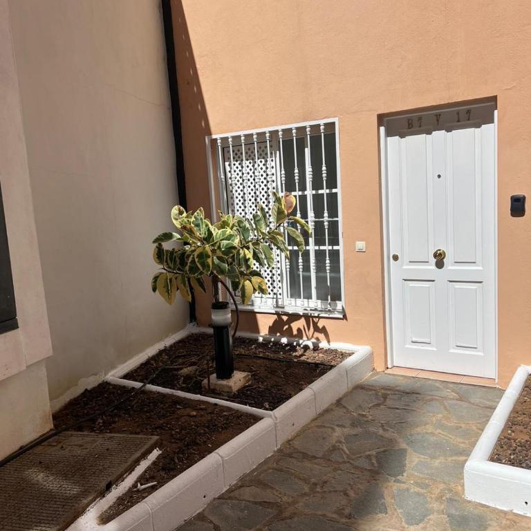 Arcoiris Paradise A 300 metros de la playa ,piscina y parque infantil - Apartamento de 2 dormitorios - 35