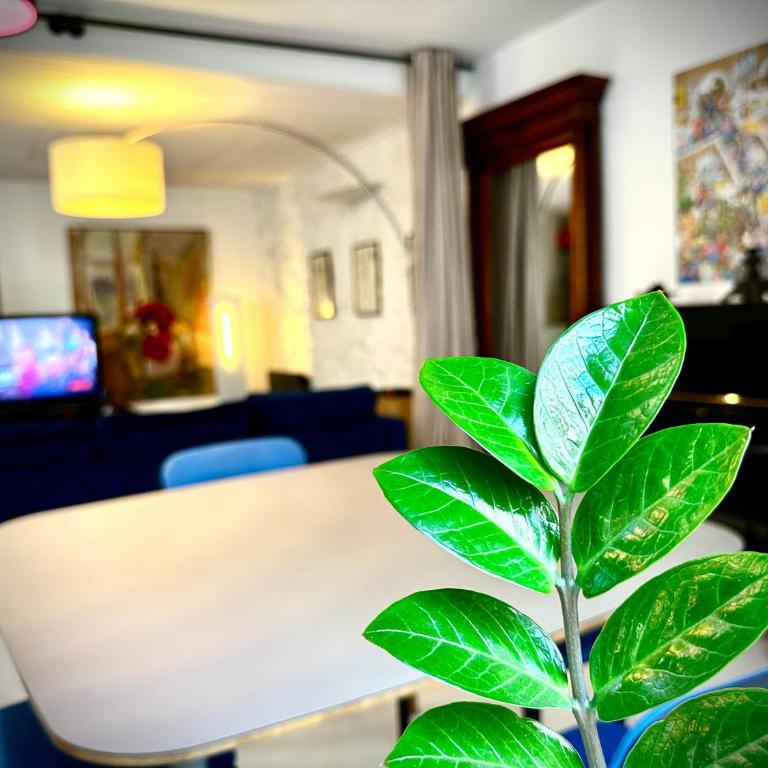 Large Studio North Marais - Appartement 1 Chambre - 3