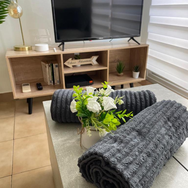 Superbe studio coin nuit Piscine et Tennis - Appartement 1 Chambre - 13