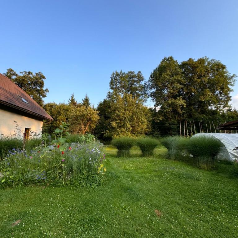 Ferienwohnung, nahe dem Faaker See - Apartment mit 1 Schlafzimmer - 32