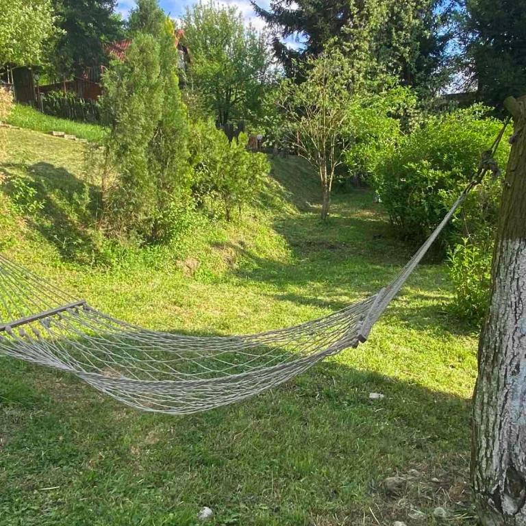 Piccola foresta - Apartment - 25