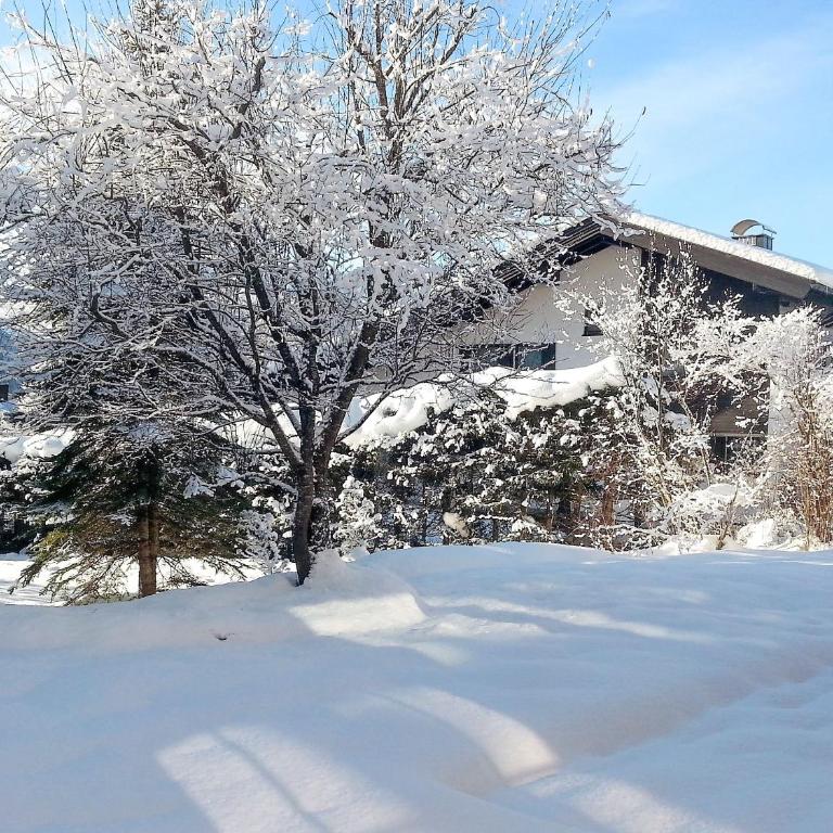Haus Entfelden - Apartment mit 1 Schlafzimmer und Terrasse - 21