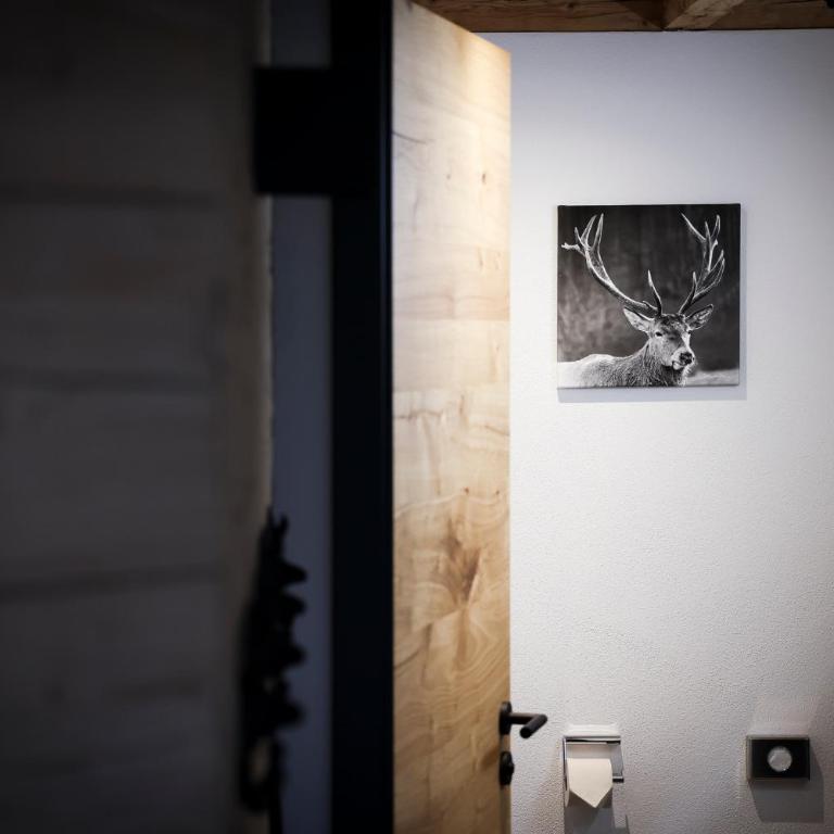 Platzhirsch Ofterschwang - Apartment mit Balkon - 28