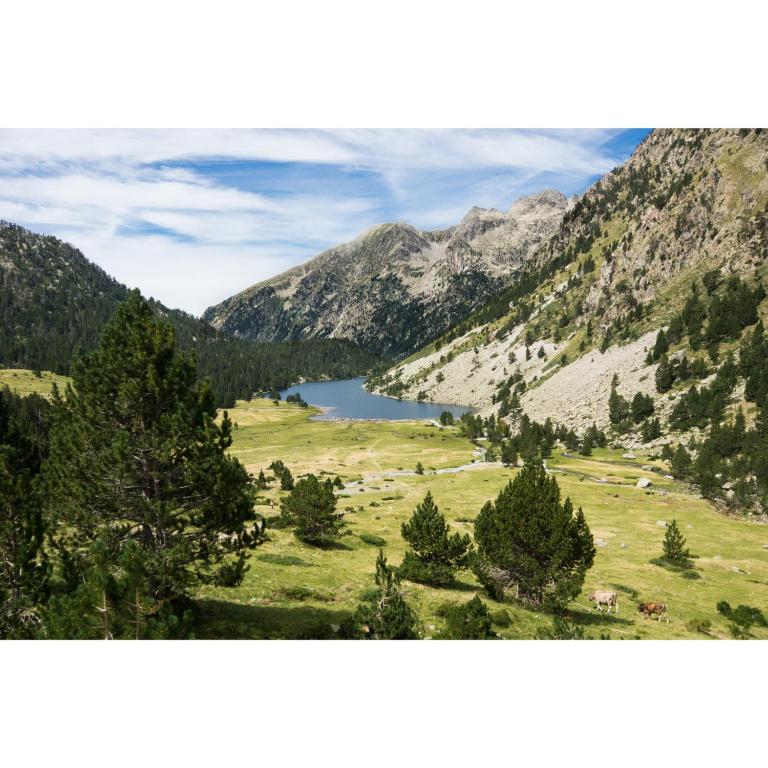 CHARMANT T3 AVEC VUE MONTAGNE et PARKING PRIVATIF - Appartement 2 Chambres - 31