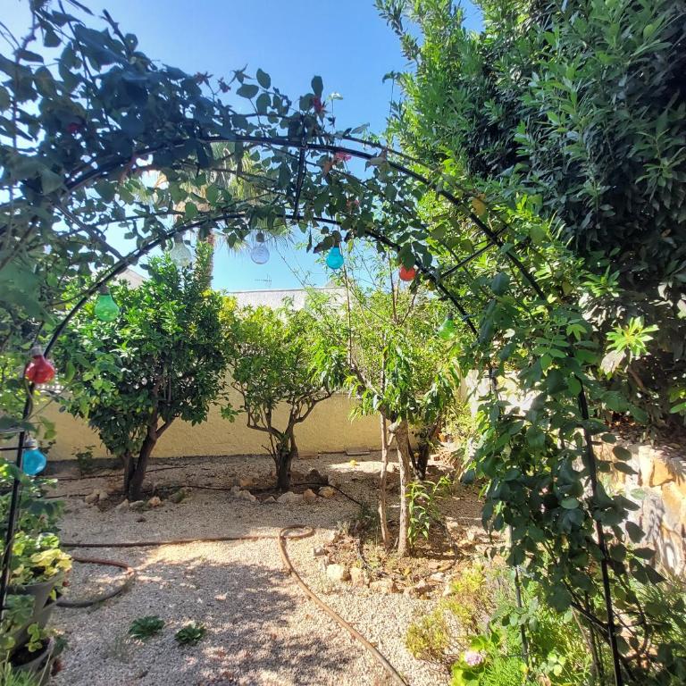 Chalet Los Almendros con piscina privada - Casa de 2 dormitorios - 69