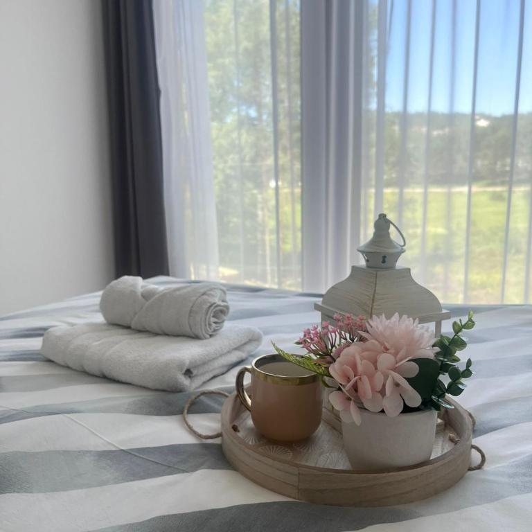 Apartman Borovi 14 - Apartman sa 1 Spavaćom Sobom - 19