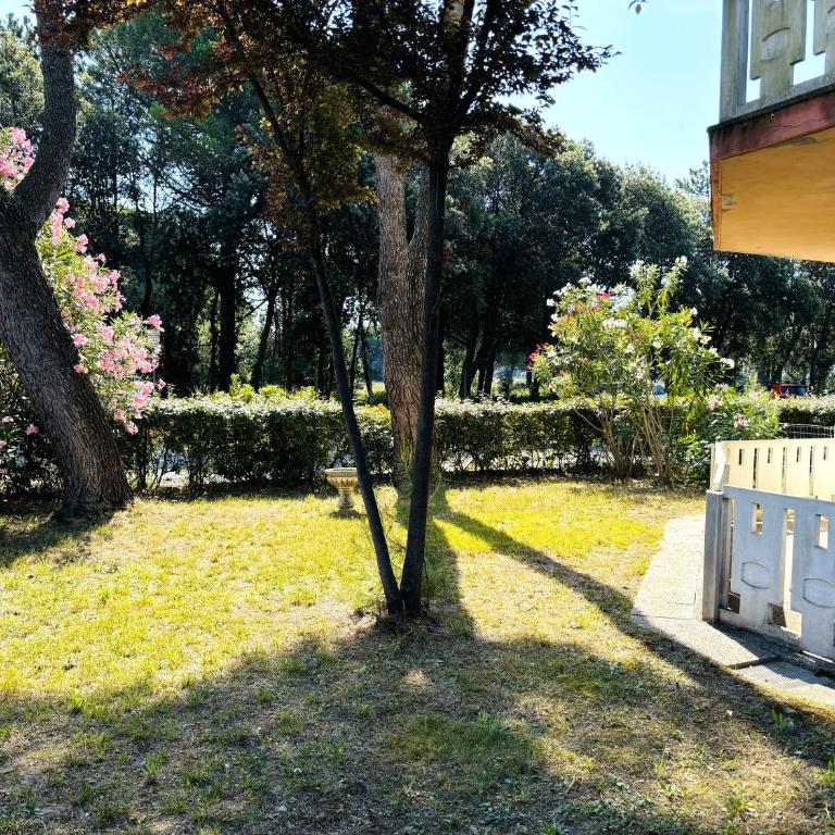 Corona - Appartamento con 2 Camere da Letto - 2