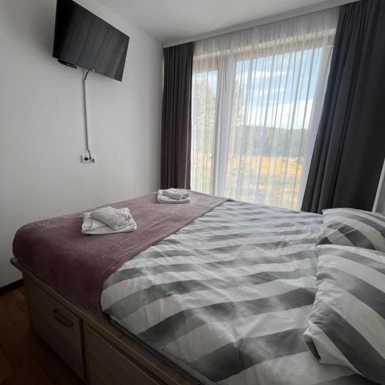 Apartman Borovi 14 - Apartman sa 1 Spavaćom Sobom - 12