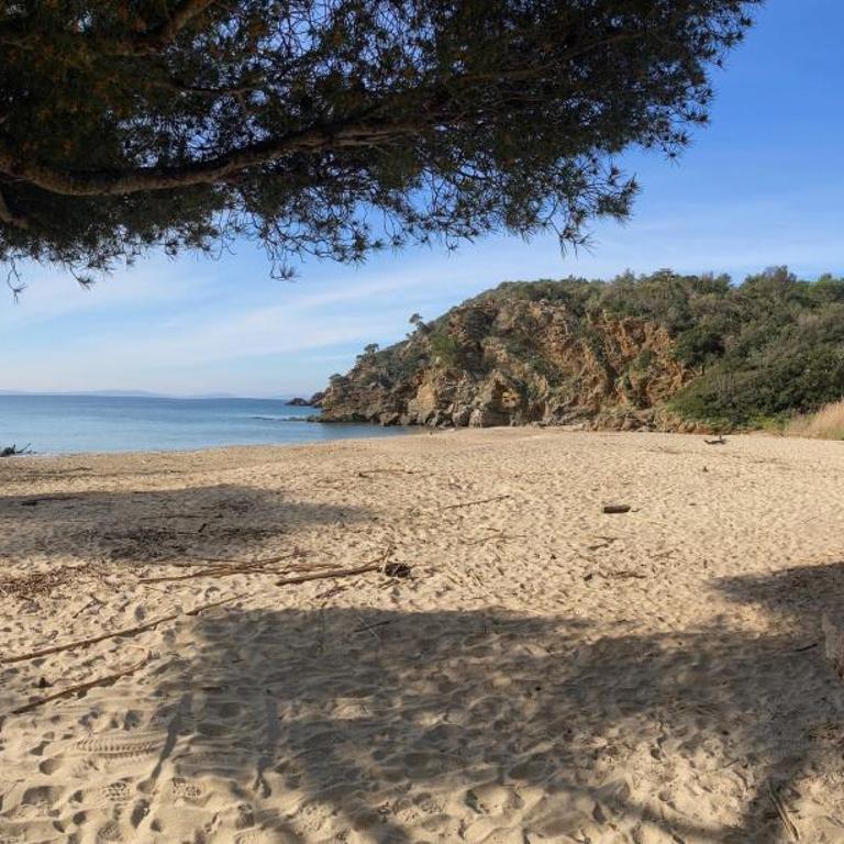 Enjoy Cavalaire - Appartamento con 1 Camera da Letto - 15
