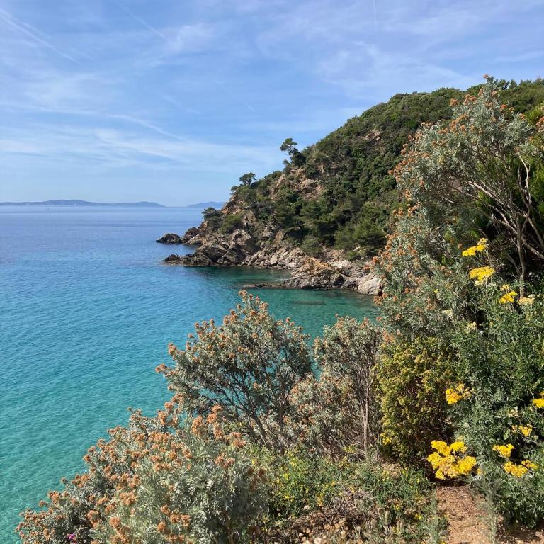 Enjoy Cavalaire - Appartamento con 1 Camera da Letto - 22