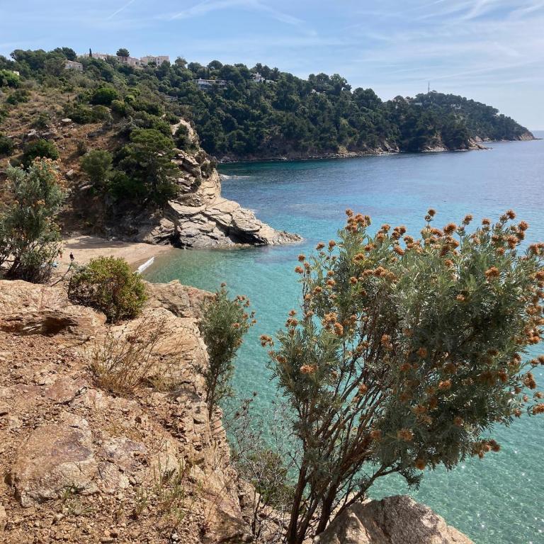 Enjoy Cavalaire - Appartamento con 1 Camera da Letto - 23