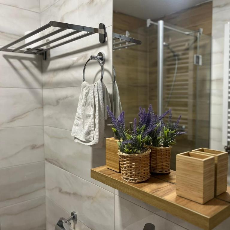 Apartman Borovi 14 - Apartman sa 1 Spavaćom Sobom - 23