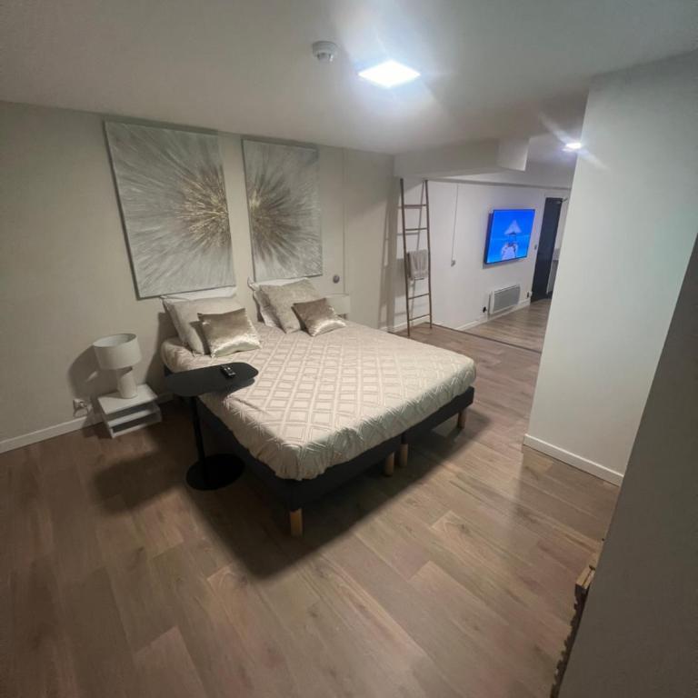 Loft ravissant 45m2 Jacuzzi RVB NIGHT 2 ÉTABLISSEMENT FERMÉ DÉFINITIVEMENT - Apartamento de 1 dormitorio - 16