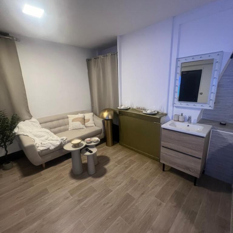 Loft ravissant 45m2 Jacuzzi RVB NIGHT 2 ÉTABLISSEMENT FERMÉ DÉFINITIVEMENT - Apartamento de 1 dormitorio - 14