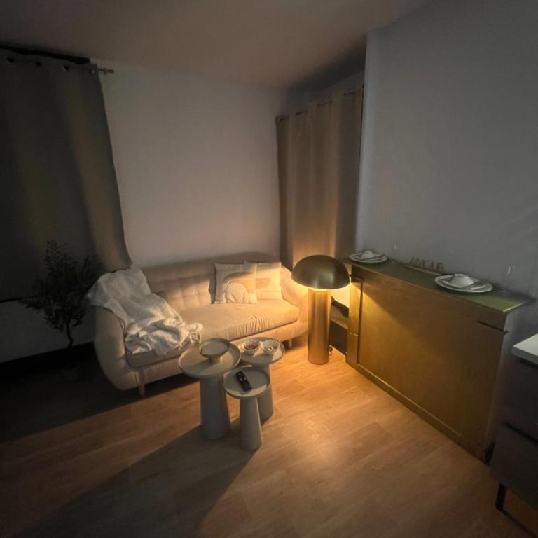 Loft ravissant 45m2 Jacuzzi RVB NIGHT 2 ÉTABLISSEMENT FERMÉ DÉFINITIVEMENT - Apartamento de 1 dormitorio - 12