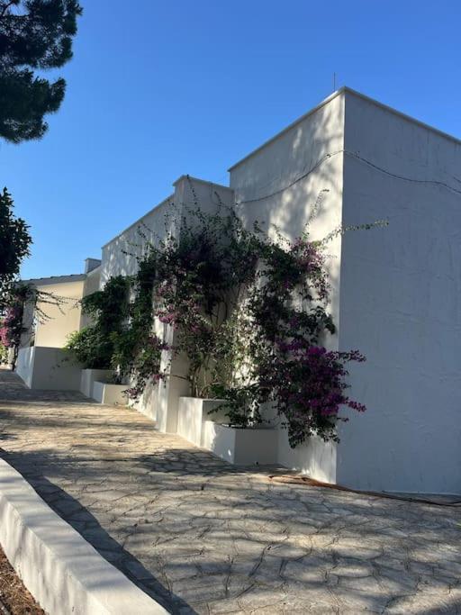 Villa Bouganville 2 Ostuni - Three-Bedroom Villa - 26
