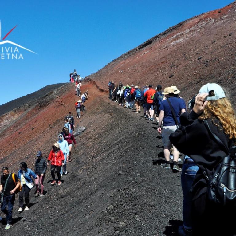 Casa Limoni - Rifugio Siciliano tra Mare, Etna e Taormina - Appartamento Standard - 58