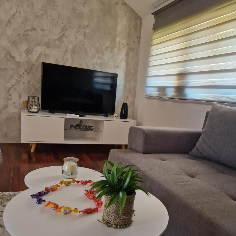 Apartman In Lux - Apartman s 1 Spavaćom Sobom i Terasom - 3