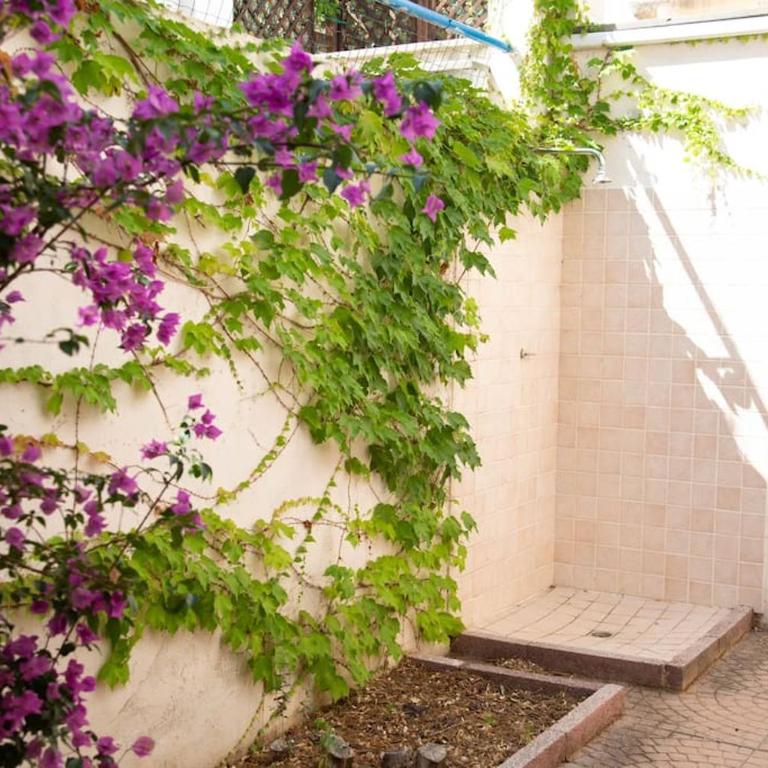 Palm Garden House - Cala Gonone - Appartamento con 3 Camere da Letto - 9