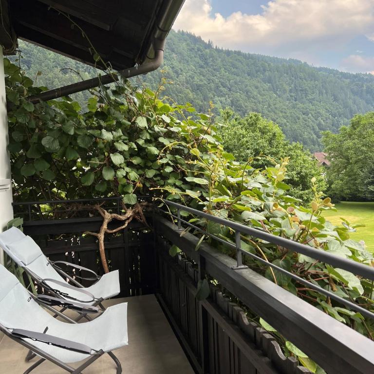 Villa Berger - Apartment mit Bad - 13