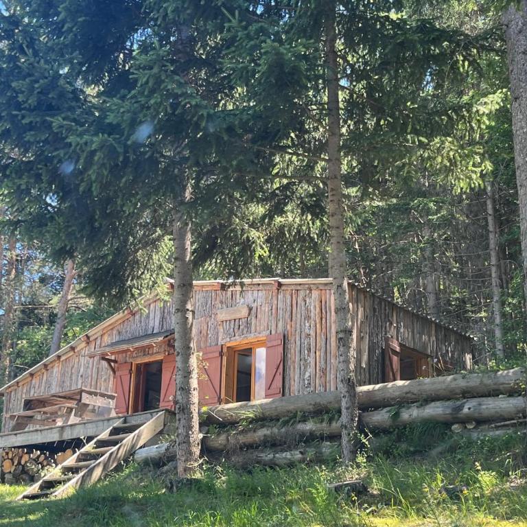 Chalet dans la verdure - Les Chapeliers - Chalet 2 Chambres - 1