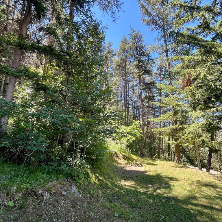 Chalet dans la verdure - Les Chapeliers - Chalet 2 Chambres - 2