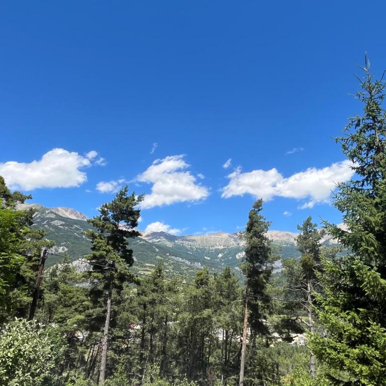Chalet dans la verdure - Les Chapeliers - Chalet 2 Chambres - 6