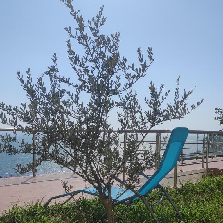 Apartment Oliva - Apartment with Sea View - 5