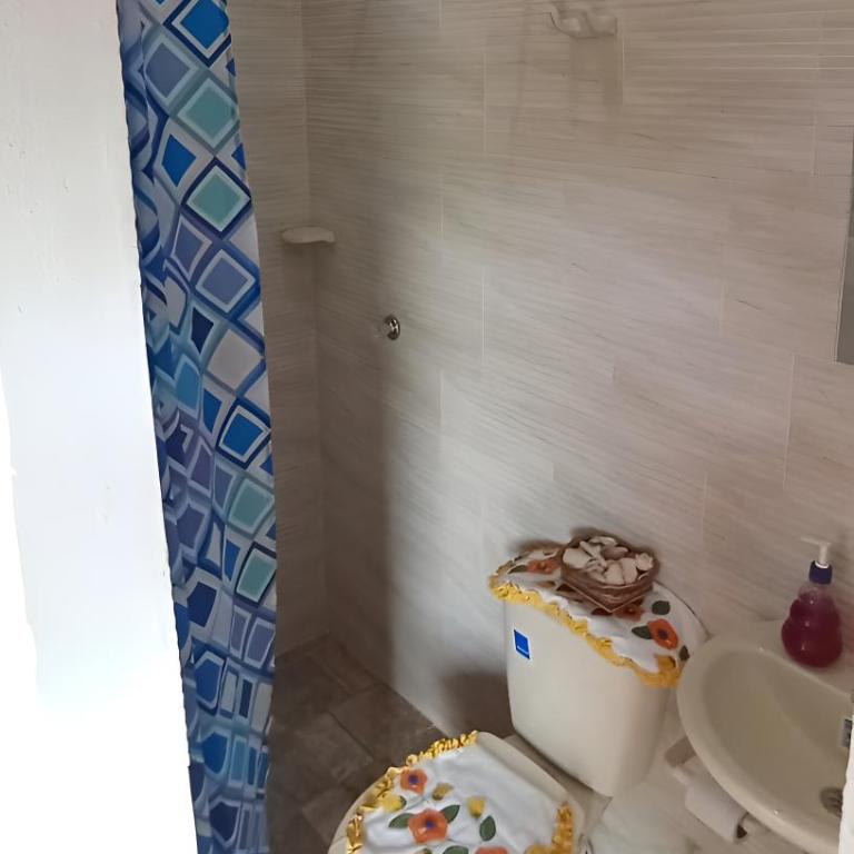 Hospedaje Campestre Villa Niny - Four-Bedroom House - 29