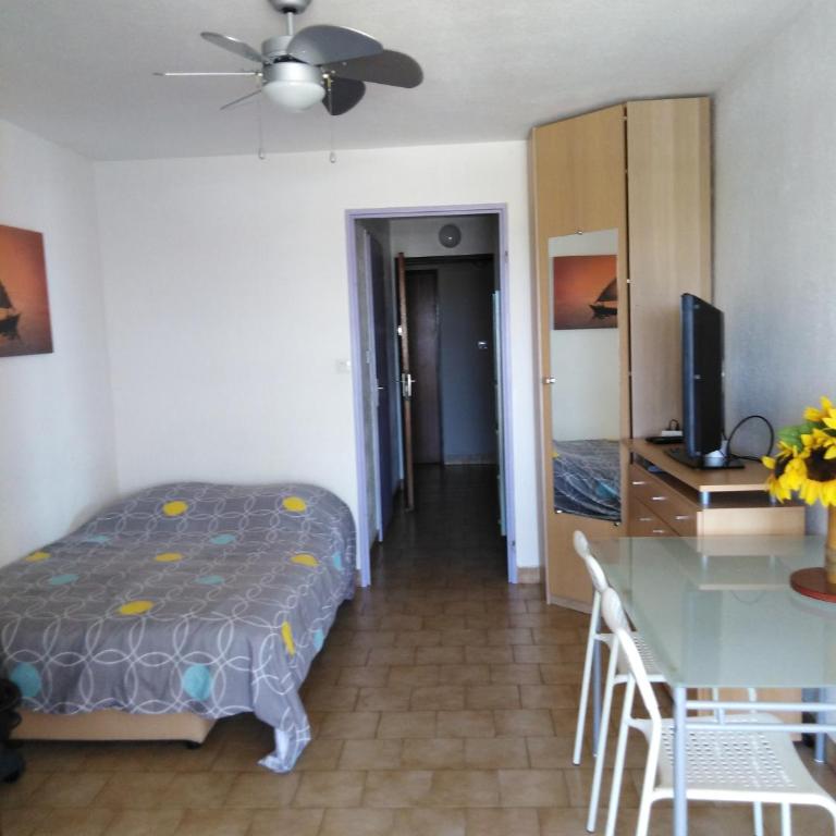 STUDIO PROCHE MER ETANGS ET CANAUX - Appartamento con 1 Camera da Letto - 4