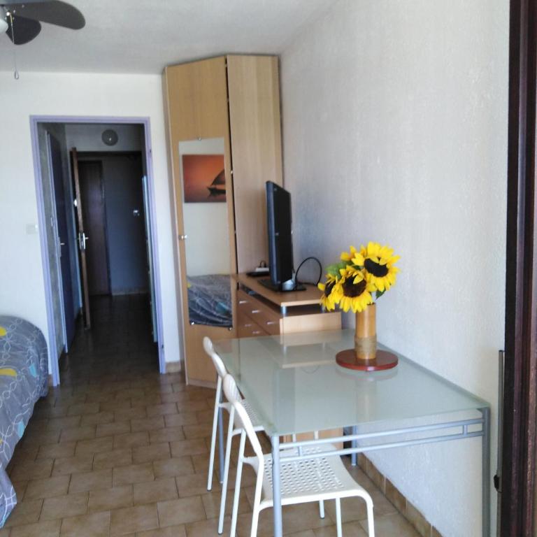 STUDIO PROCHE MER ETANGS ET CANAUX - Appartamento con 1 Camera da Letto - 3