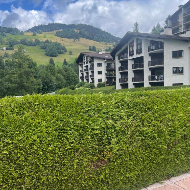 Studio 1 personne Hedi 4 - Appartement 1 Chambre - 2