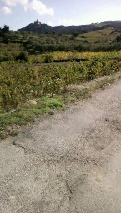 Logement 50 m de la plage Arrivée et Départ Autonome - Apartment - Erdgeschoss - 32