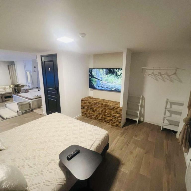 Loft ravissant 45m2 Jacuzzi RVB NIGHT 2 ÉTABLISSEMENT FERMÉ DÉFINITIVEMENT - Apartamento de 1 dormitorio - 9