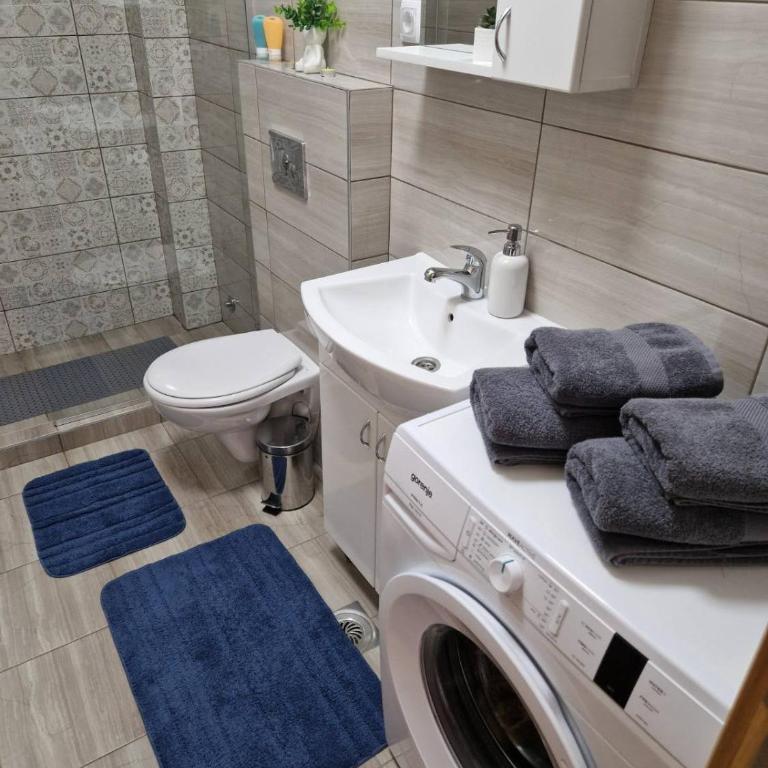 Apartman TEKA - Apartman sa 1 Spavaćom Sobom - 16