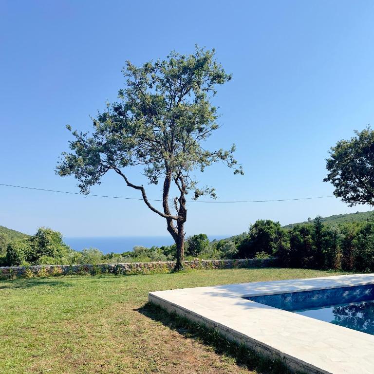 Villa LuceSole Budva - Vila sa 4 Spavaće Sobe i Sopstvenim Bazenom - 12