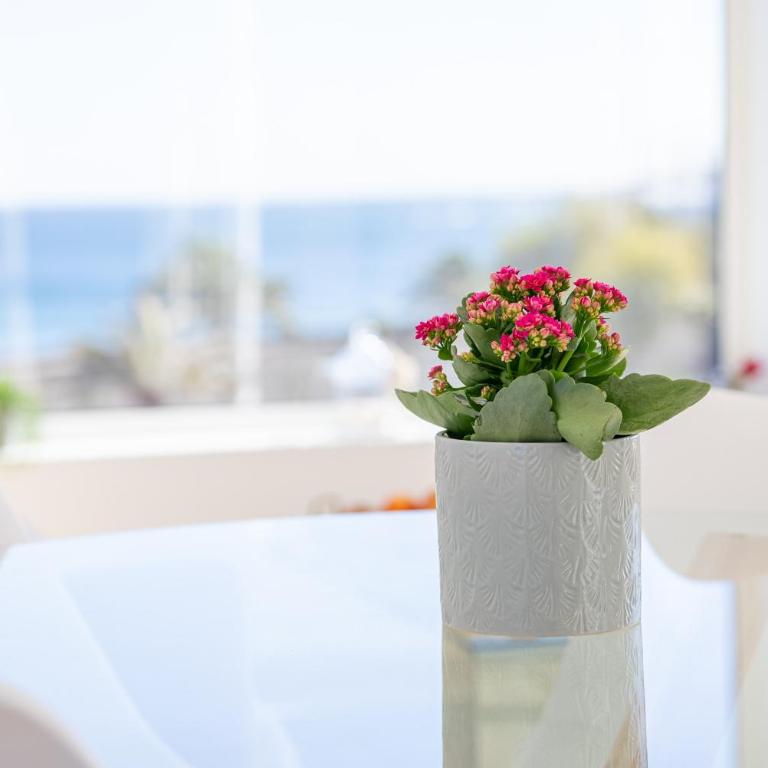 Sea Front View, Costa Teguise - Apartamento con vistas al mar - 8