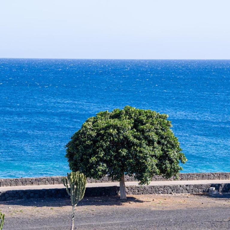 Sea Front View, Costa Teguise - Apartamento con vistas al mar - 32