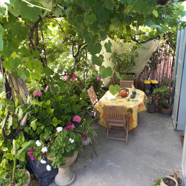 L'Ibrus Blue - Chambre Double - 2