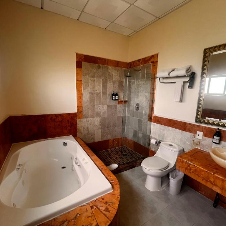 Hotel Palacio Maya - Suite with Spa Bath - 1