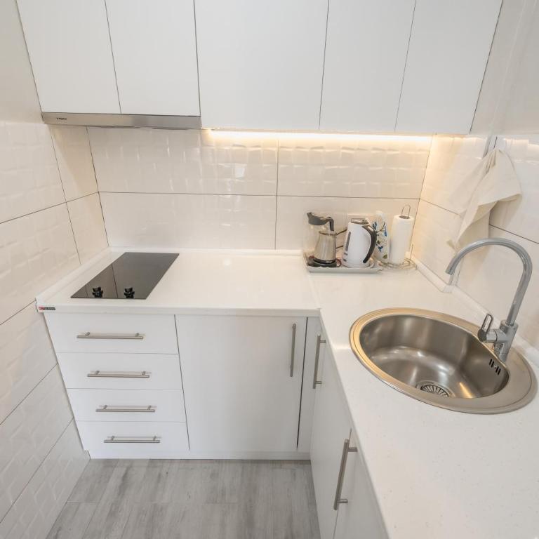 Apartman Jovičić - Apartman sa 1 Spavaćom Sobom - 13