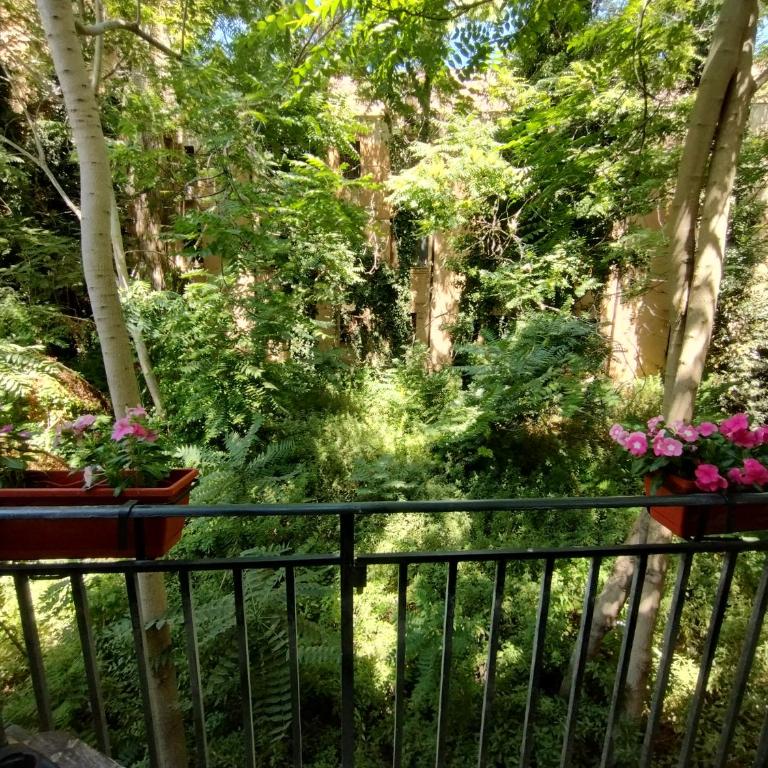Domus Vetriera - Appartamento Monolocale con 1 Letto Matrimoniale - 13