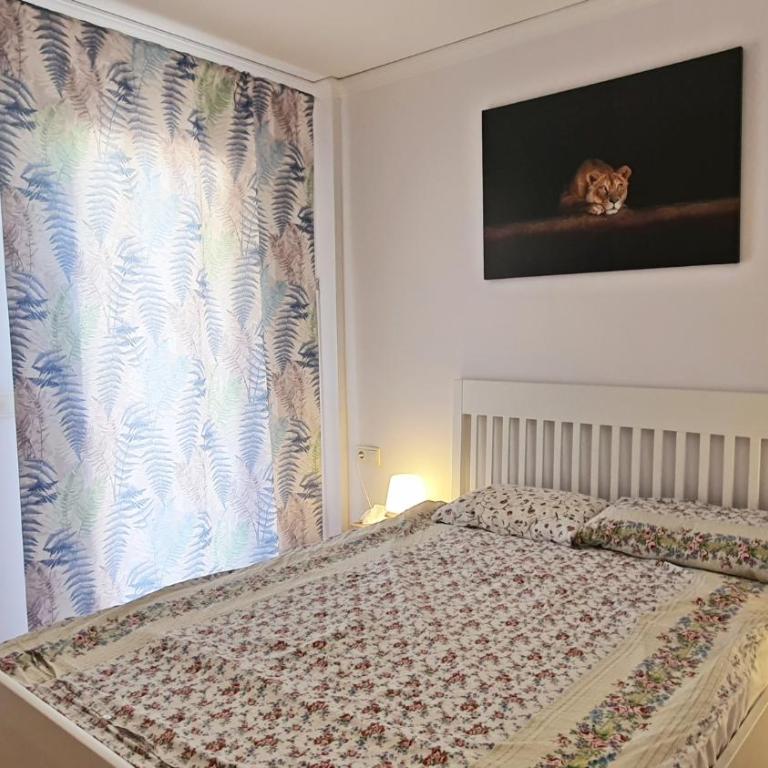 APARTAMENTOS PAR TRES - Oliva Nova - Apartamento de 1 dormitorio - 41