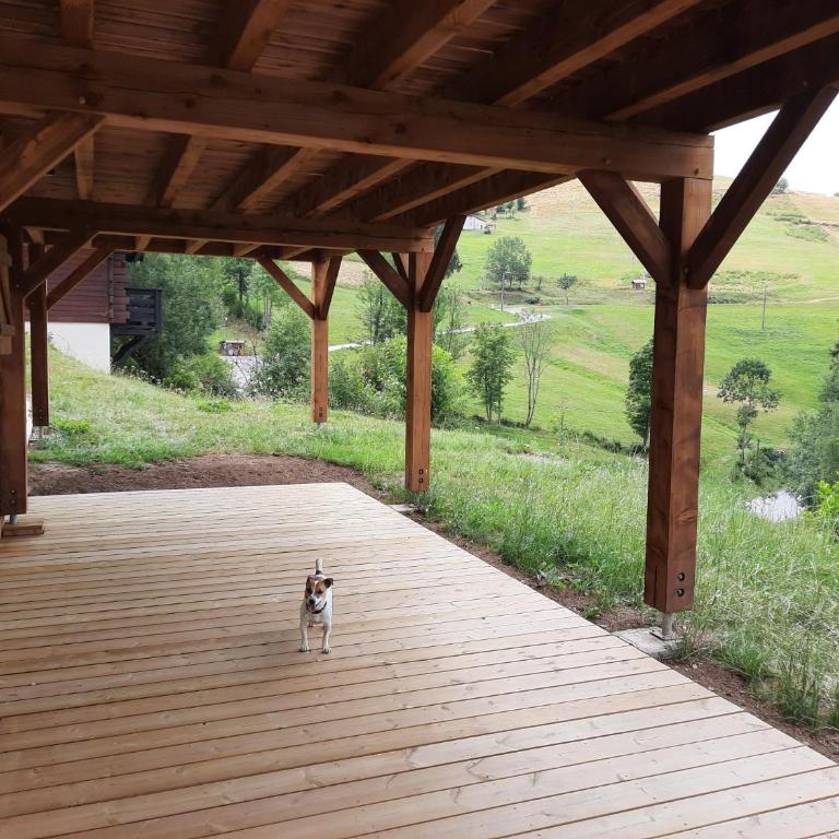 Chalet Les Bouvreuils La Bresse Haute Vosges - Chalet Supérieur - 25