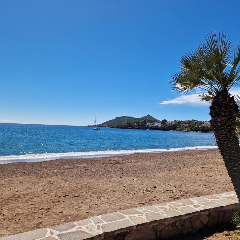 Cap Esterel - Apartment - Split Level - 2