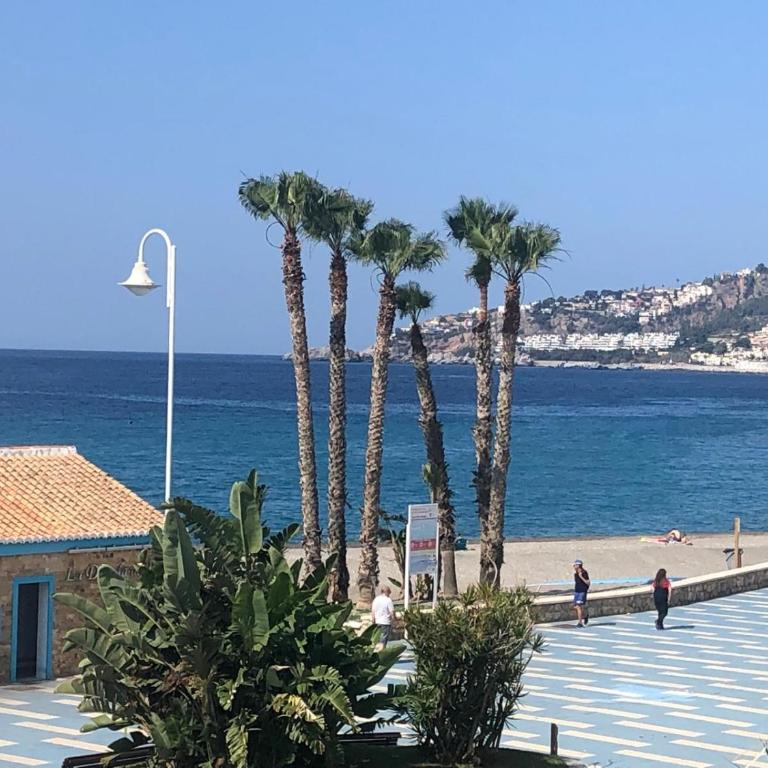 Apartamento Sol y Mar parking gratuito - Apartamento de 1 dormitorio - 17