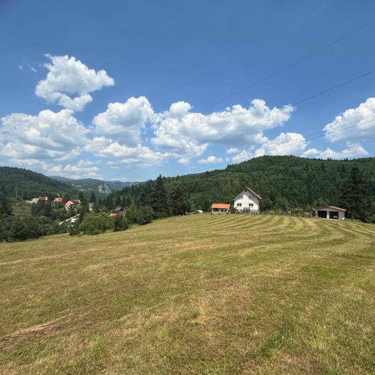 Inn Nature - Three-Bedroom House - 48