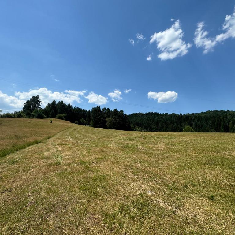 Inn Nature - Three-Bedroom House - 55