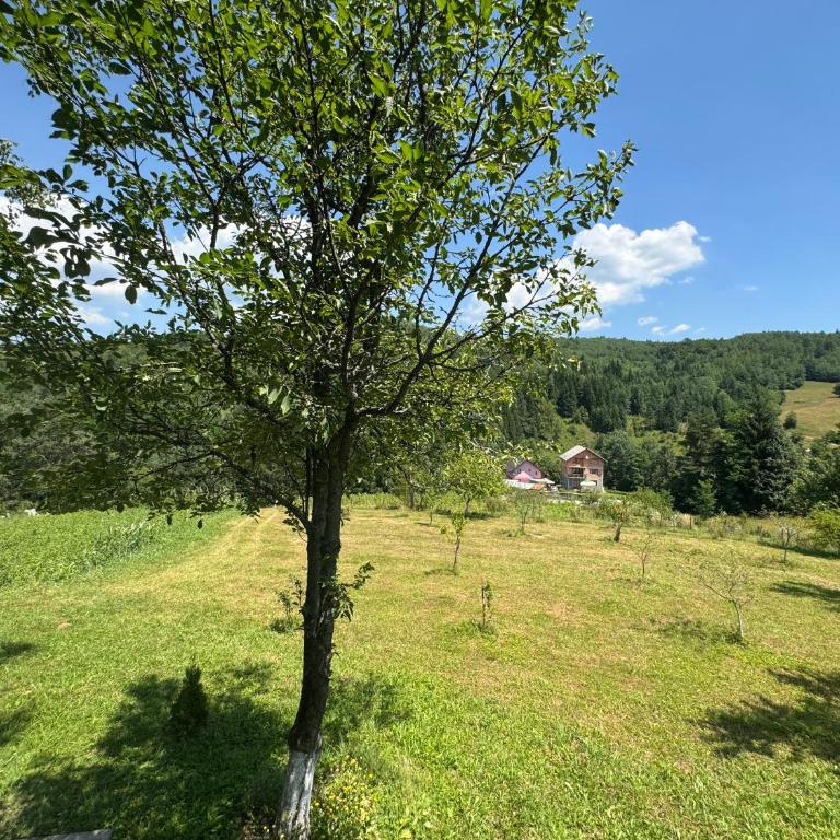 Inn Nature - Three-Bedroom House - 60
